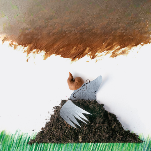 Over een kleine Mol... | 2+